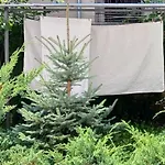 Centrum Krakowa, Z Ogrodem I Parkingiem 아파트 *
