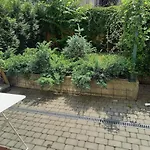 Centrum Krakowa, Z Ogrodem I Parkingiem 아파트