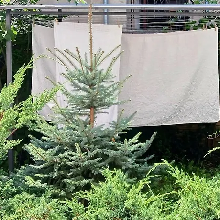 Centrum Krakowa, Z Ogrodem I Parkingiem דירה *