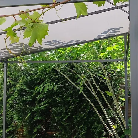 דירה Centrum Krakowa, Z Ogrodem I Parkingiem קרקוב