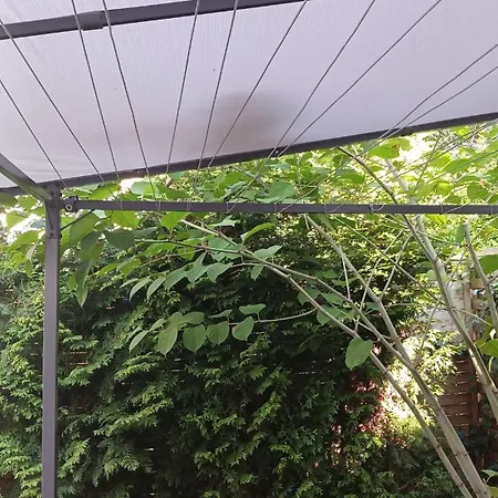 아파트 Centrum Krakowa, Z Ogrodem I Parkingiem *