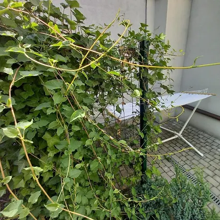 Apartment Centrum Krakowa, Z Ogrodem I Parkingiem *
