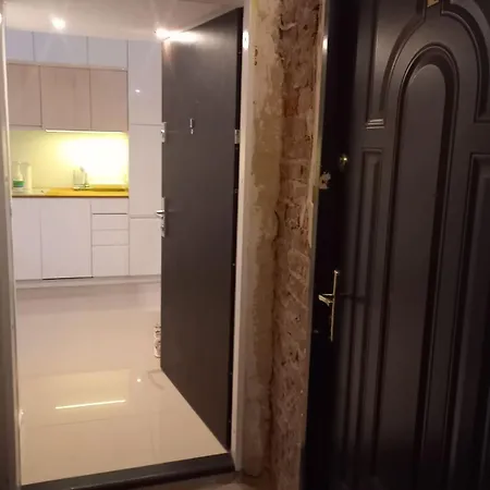 Apartment Centrum Krakowa, Z Ogrodem I Parkingiem Krakow
