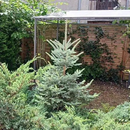 Centrum Krakowa, Z Ogrodem I Parkingiem Apartment Krakow